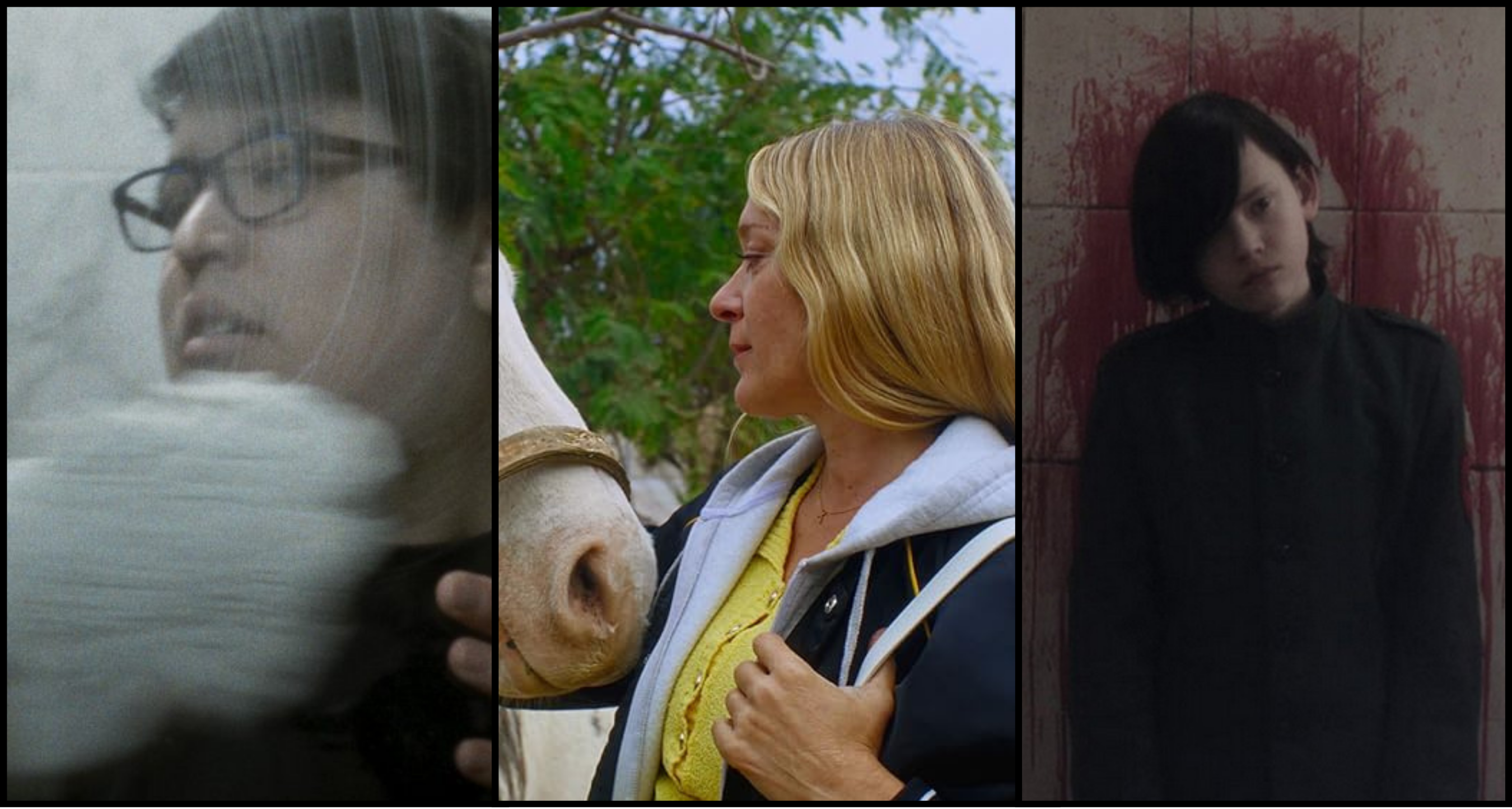 Affiche de l'article : Berlinale #12 : Paul, Magic Farm & Cadet